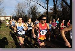 Begles 15.12.13 01 700 * 679 x 453 * (147KB)